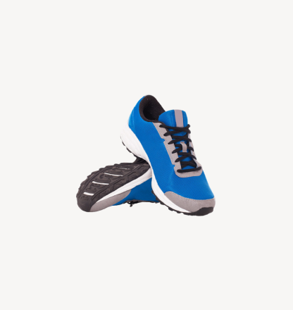 Shoe